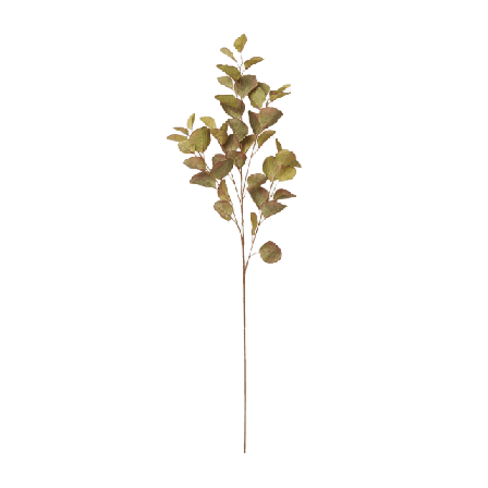 Åhléns Home Konstväxt eukalyptus 97 cm Blommor & växter Grön ONESIZE