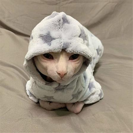 Hårlose katteklær Sphynx/tysk katt høst og vinter tykke hettegensere - M