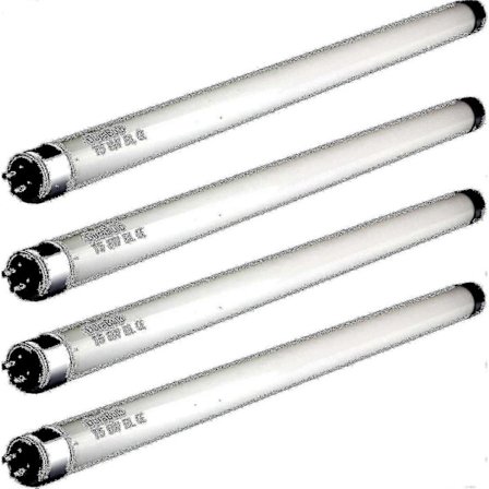 4 stk. 8W Fluefangerpærer 30 cm - T5 8 Watt UV-rør for 16W Fluefangere/Insekt-zappere.