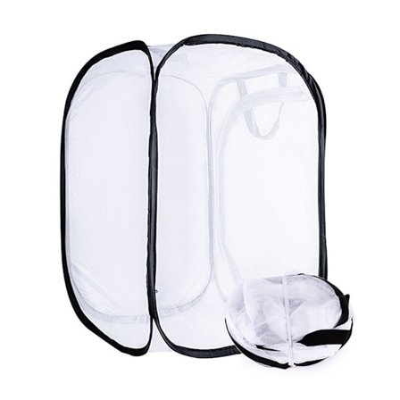 Perhoshäkki Verkko Hyönteinen Perhonen Eläinympäristö Häkki Ylös Lentää Verkko Tiede Lapset Lelut Varhaiskasvatuslelu