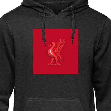 Barnehettegenser Liverpool fotball klubb England Premier League lidenskapelig klubb med sterk identitet høy nivå og lojale supportere