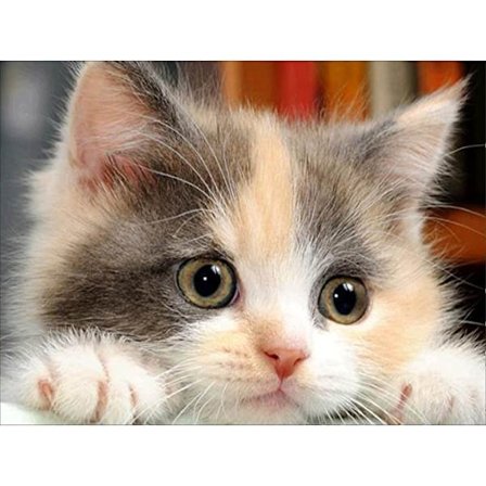 DIY 5D Diamantmaleri efter nummer Kit, Diamantbroderi Kit Ful