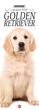 Golden retriever. Calendario 2026. Long