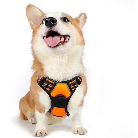 Hundsele No Pull Husdjurssele Justerbar Mjuk Vadderad Hundväst Husdjursselar Orange