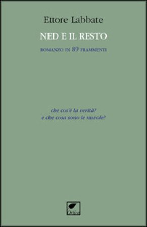 Ned e il resto. Romanzo in 89 frammenti Ettore Labbate