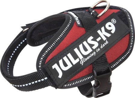 Julius-K9 Idc Harness Baby 2 Dog Harnesses & Dog Collars Red Baby 2