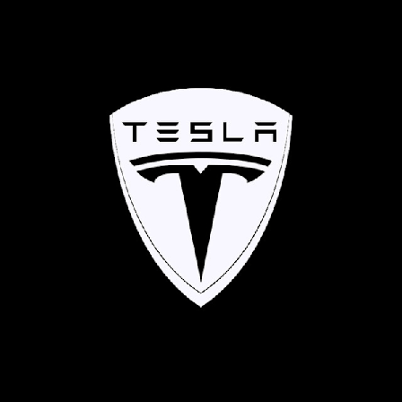 2 st Tesla MODEL-S/3/X/Y full series dörrlaserprojektion