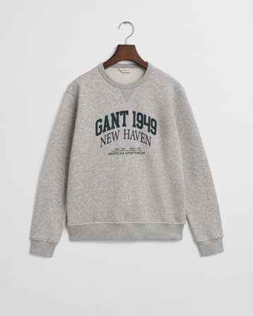 GANT Teenager Graphic Rundhals-Sweatshirt (134/140) Hellgrau