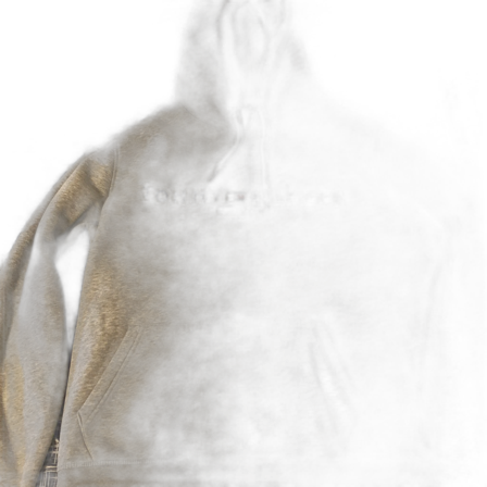 Tommy hilfiger hoodie