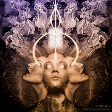 Echoes from the universe MR. BISON