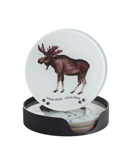 Glasbrikker Elg 4-pak med trykt motiv Hvid