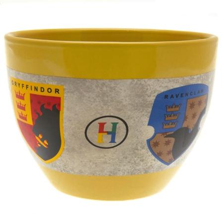 Harry Potter Hogwarts Hus Håndtagsløs Kop One Size Flerfarvet Flerfarvet One Size