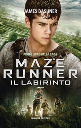 Il labirinto. Maze Runner. Vecchia ediz.. Vol. 1 James Dashner