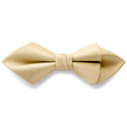 Champagne Pre-Tied Satin Diamond Tip Bow Tie for Men - Pre-tied bow ties