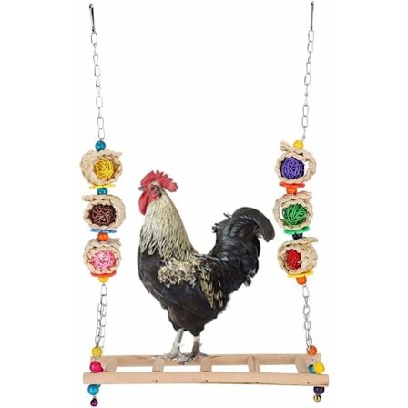 Färgglad trägunga Kyckling hängande gungaleksak Klätterställning Stege Träningsleksak för höns Medium fågelpapegoja