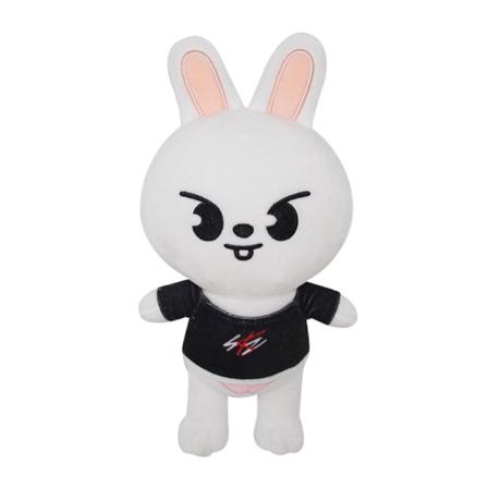 Pehmolelut Stray Kids Cartoon 22CM Täytetyt Eläimet Pehmolelut Nuket Kawaii Seuralainen Lapsille Aikuisille Faneille Lahja