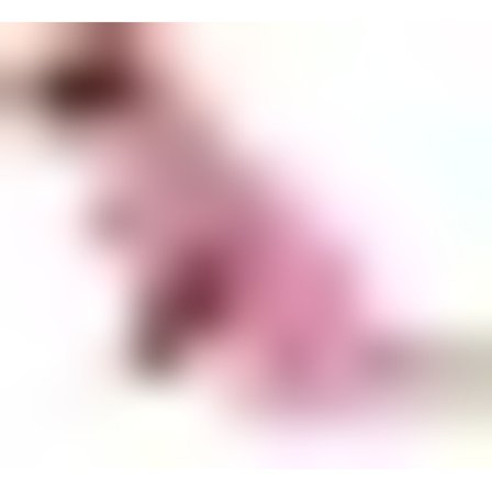 Justerbar Vattentät Hund Regnrock med Huva Reflekterande Hund Regnkappa Jacka Hund Regnkläder Kläder för Små Mellanstora Stora Hundar (XXL, Rosa)