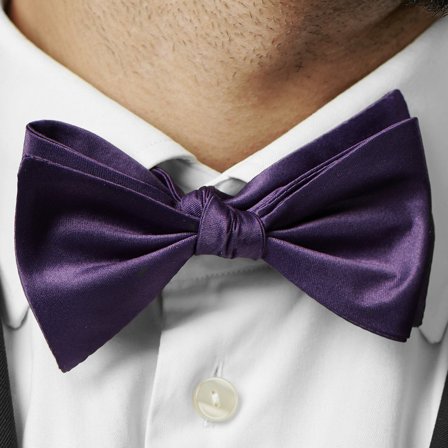 Papion Basic violet închis pentru bărbați - Papioane self-tie
