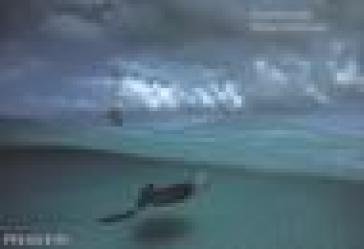 Acqua luce tempo. Ediz. illustrata David Doubilet