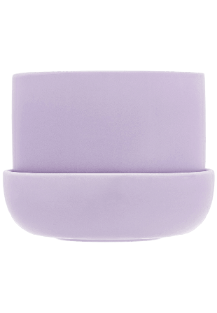 Iittala Nappula Kruka Med Fat 170x130mm Dekoration Lila 170x130 mm