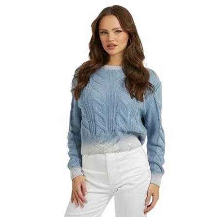 Guess Sweatshirts & Hoodies Blå, Dame