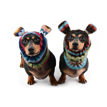 Crayon Snood - Mörkblå - Borstar & Kammar, Pälsvård, Schampoo- & Balsam, Hårband & Hårsnoddar på Doggie.se