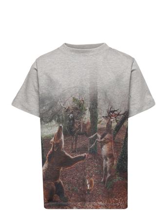 Road T-shirts Short-sleeved Harmaa Molo