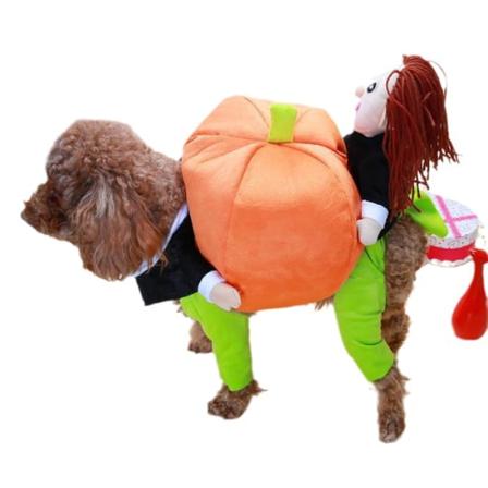 Kostyme for hund og katt, gresskar, Halloween-kostyme, perfekt for Halloween, jul og temafester, M