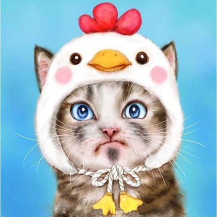 30x40cm 5D DIY timanttimaalaus täydellinen,Chaton#I,DIY timantti Rhinest