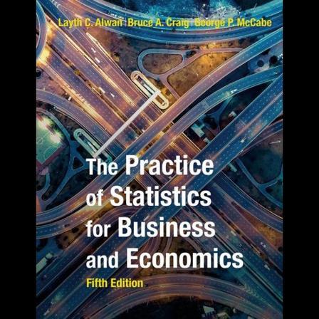 Practice of Statistics for Business and Economics - Bok av Layth Alwan - Pocket