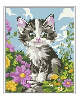 Paint by numbers Flauschiges Kätzchen