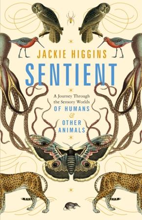 Sentient - What Animals Reveal About Our Senses - Bok av Jackie Higgins - Pocket