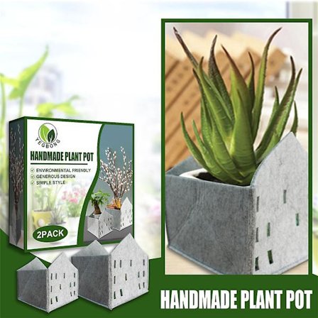 Växt Vas Små Krukor Hemmakontor Inredning