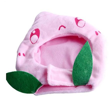 Katt Hatt Husdjur Huvudbonader Katt Utklädningshatt