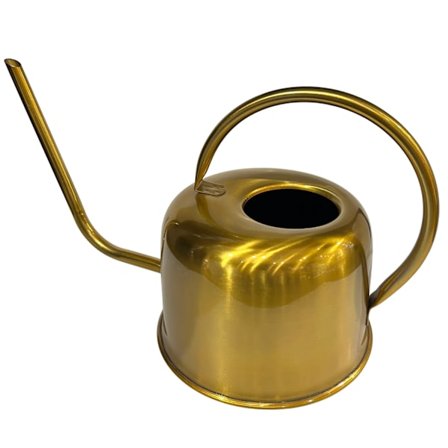 Vannkanne Gull Metall 1 l