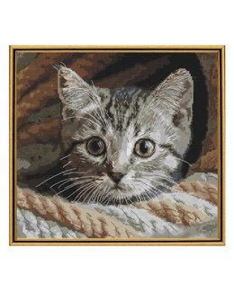 Broderipakke Bilde Spionere - Andriana