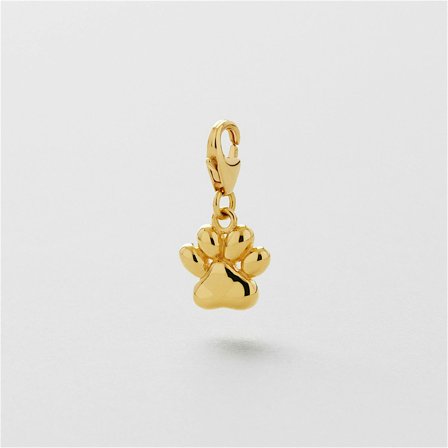 Paw Charm