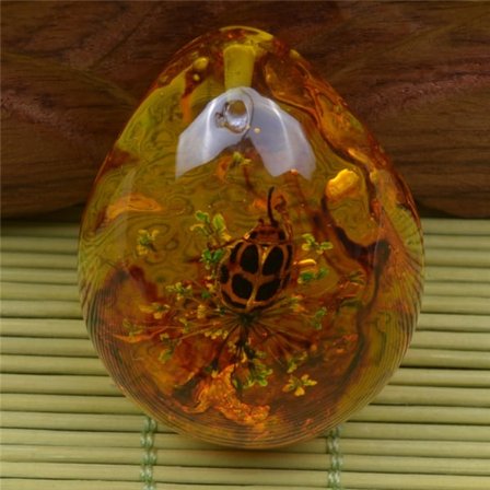 Butterfly Amber Stone Insect Spcimen riipus LADYBIRD LADYBIRD