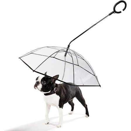 Paraply for kjæledyrhund, transparent sammenleggbar vanntett paraply for kjæledyrhund, justerbart håndtak valpeparaply