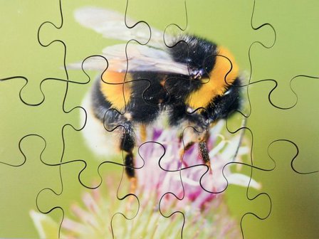 Pussel Småkryp 8 olika pussel - Lyreco - Skola och förskola - Lekmaterial - Pussel - Askpussel