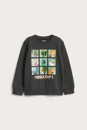 Sweatshirt Minecraft | Svart | Barn | Kappahl
