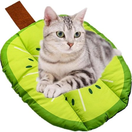 Kiivi Viilennysmatto Koirille, Pestävä Lemmikkimatto, Kissanpentu Kannettava Söpö Hedelmäkuvio Liukumaton Matto, Kesäpeti Nukkumapatja Tyynyt Koirien 