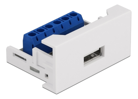 Delock Easy 45 - trykklåsmodul - hvit, RAL 9003