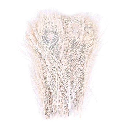 50 stk/hvite påfuglfjær i øyet, 10 til 12 tommer dekorasjon
