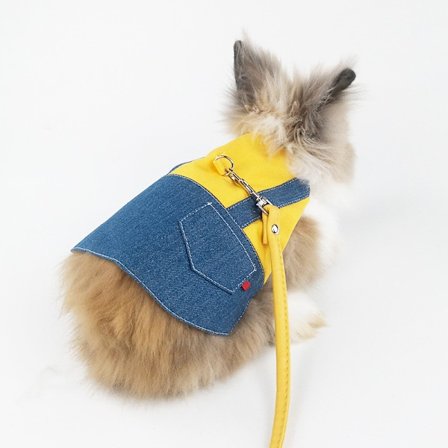 Sele og snor til kanin - Tøj til kanin marsvin