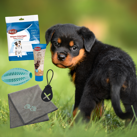 Trixie - Valp Startkit 3 - Matskål, hundgodis & tuggisar
