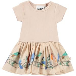 Molo Birds on a Twig GOTS Carin Dress 62 cm - Dresses - 62 cm - Pink
