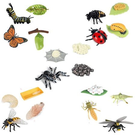 Sommerfugl Edderkop Bi Libelle Livscyklus Figurer, Plast Insekt Figurer Legetøj, Skoleprojekt til Børn