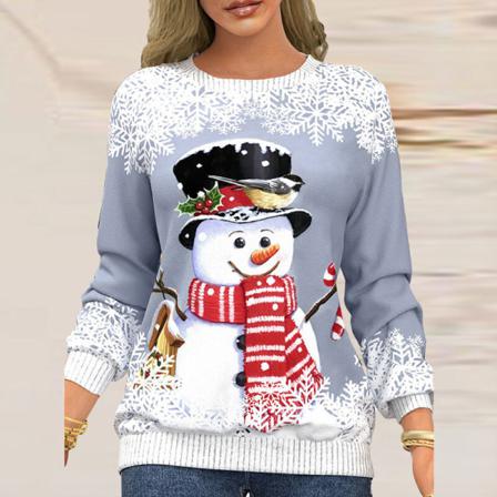 Dam Xmas Pullover Jultomten Printed Jultröja