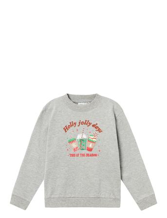 Nkfruljul Ls Nreg Sweat Bru Box Grey Name It